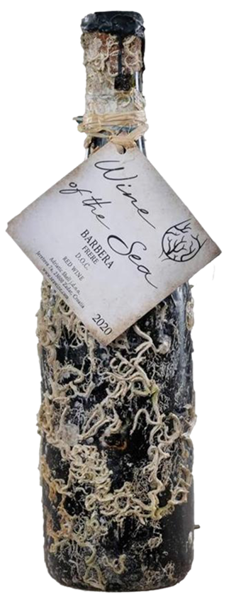 BARBERA FRERE - Wine of the Sea