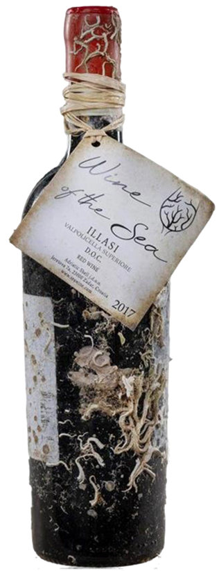 Illasi Valpolicella Superiore - Wine of the Sea