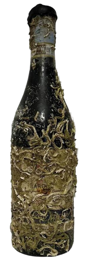 Barolo Marchese d’Azeglio - Wine of the Sea