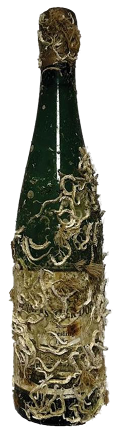 Bernkasteler Doctor - Wine of the Sea