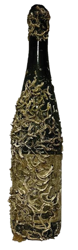 Bernkasteler Lay GG - Wine of the Sea