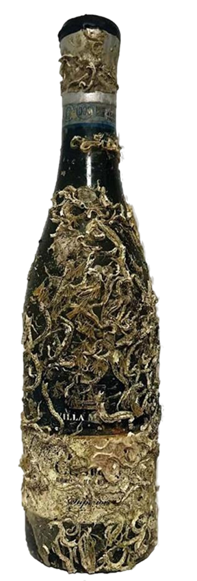 Custoza Superiore - Wine of the Sea