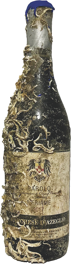 Barolo Meriame - Wine of the Sea