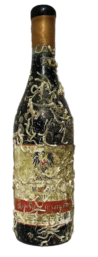 Nebbiolo Langhe - Wine of the Sea